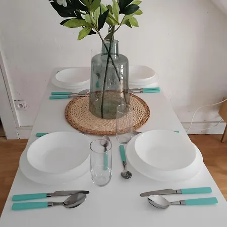 200 M - Rue Pietonne A 300 M - Jardin דירה
